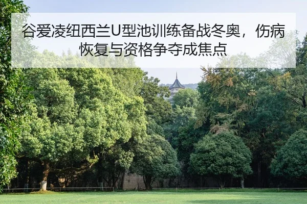 谷爱凌纽西兰U型池训练备战冬奥，伤病恢复与资格争夺成焦点